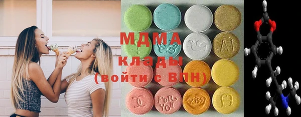 индика Володарск