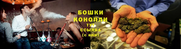 шишки Вяземский