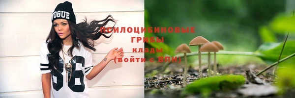шишки Вяземский