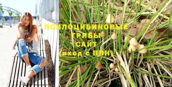 шишки Вяземский