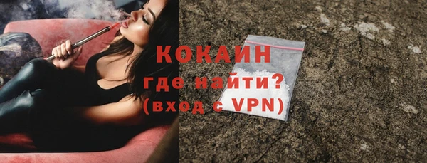 шишки Вяземский