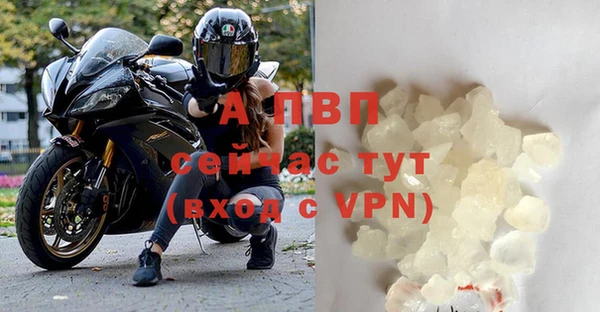 шишки Вяземский