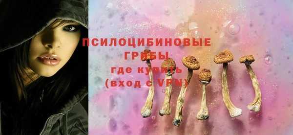 шишки Вяземский