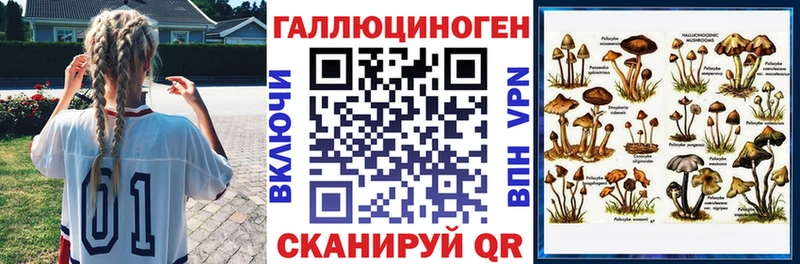 Галлюциногенные грибы Magic Shrooms  Городовиковск 
